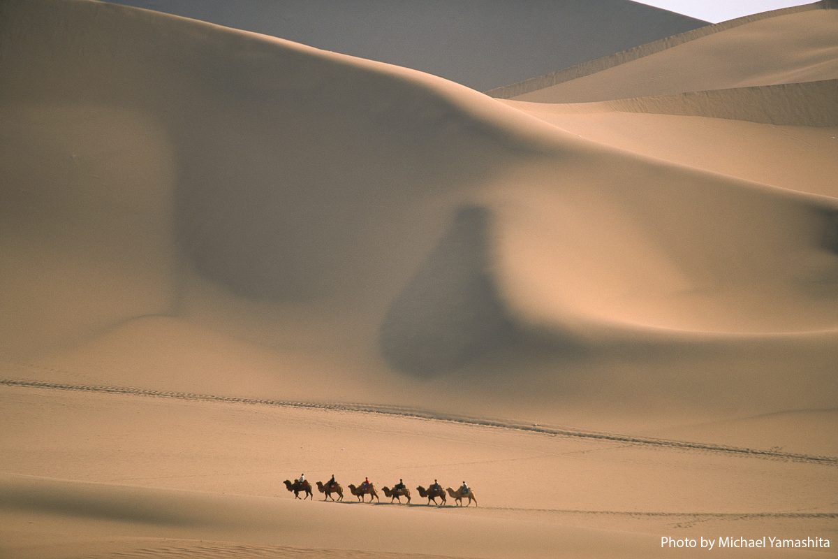 Tourists traverse the Taklimakan Desert on camels. The "sands that sing" form immense dunes.   Xinjiang Uyghur Autonomous Region